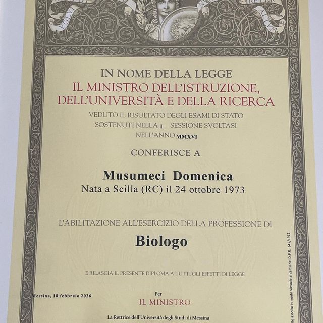 Ingrandire l'immagine: certificate 3