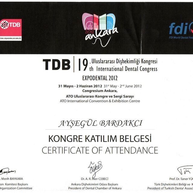 Resmi büyüt: certificate 2