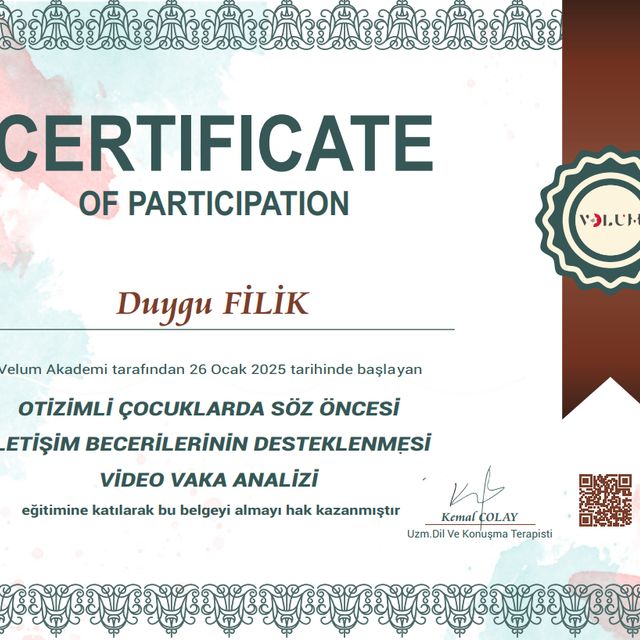 Resmi büyüt: certificate 9