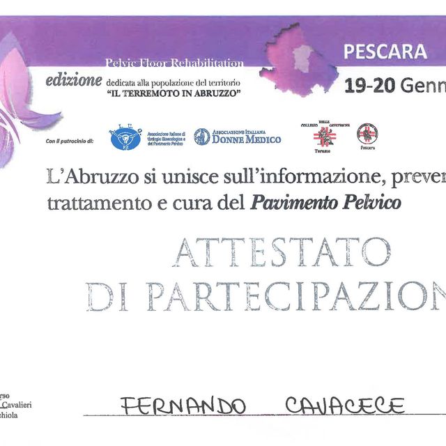 Ingrandire l'immagine: certificate 36