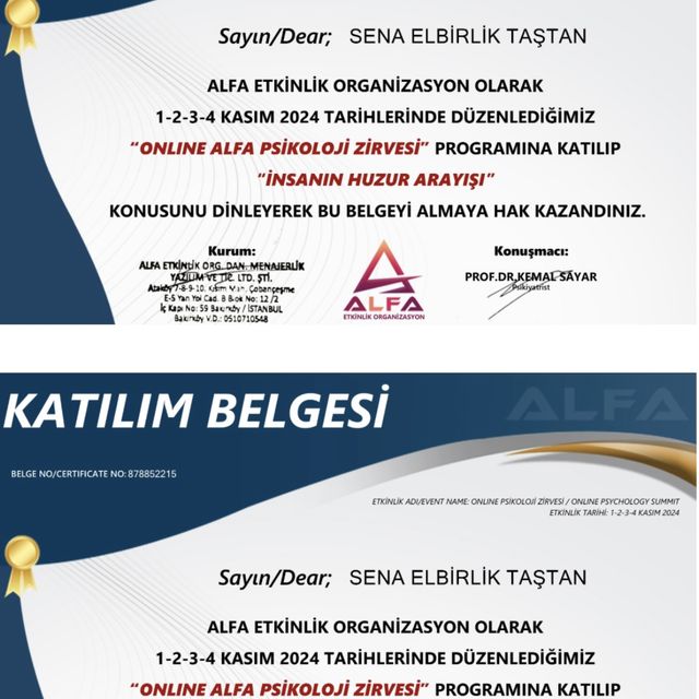 Resmi büyüt: certificate 10