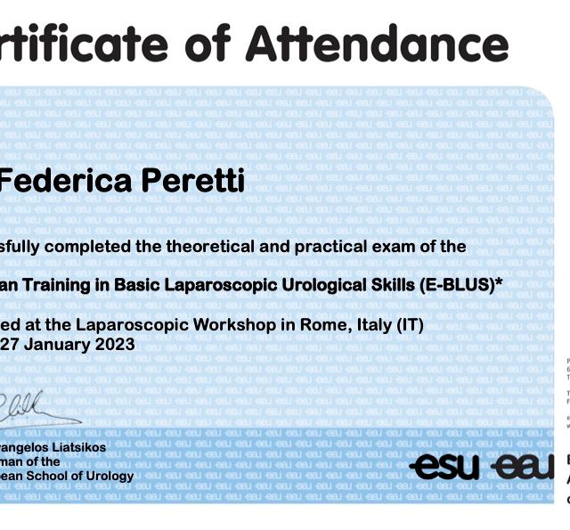 Ingrandire l'immagine: certificate 1