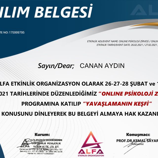Resmi büyüt: certificate 7