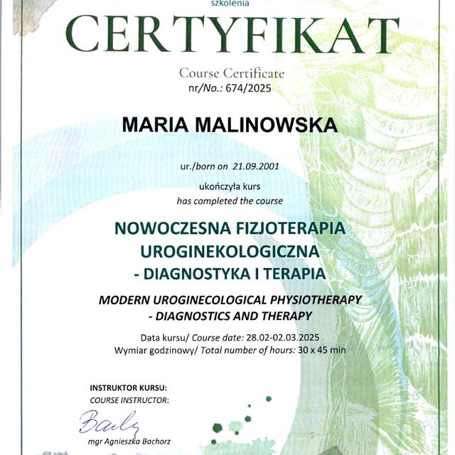 Powiększ obraz: certificate 2