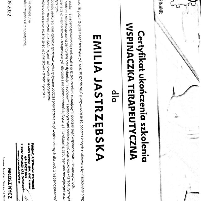 Powiększ obraz: certificate 2
