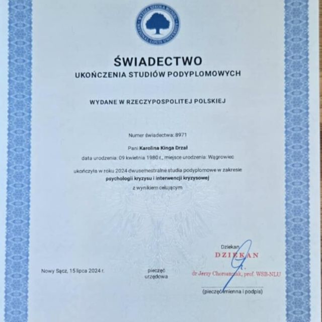 Powiększ obraz: certificate 7