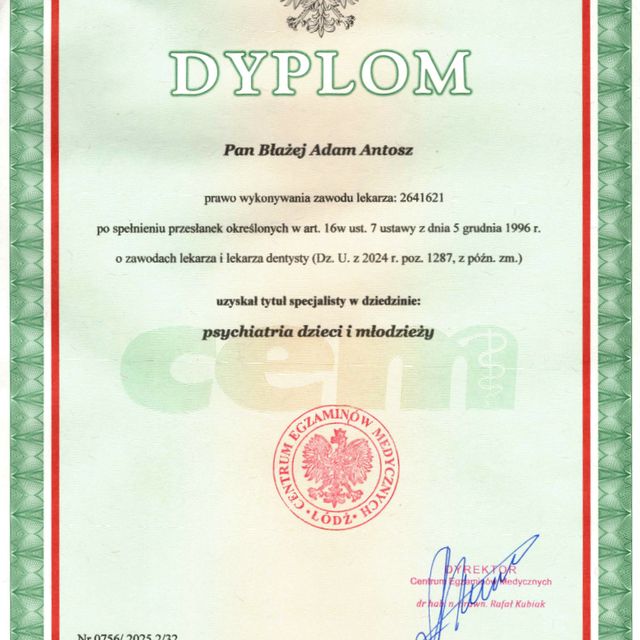 Powiększ obraz: certificate 11