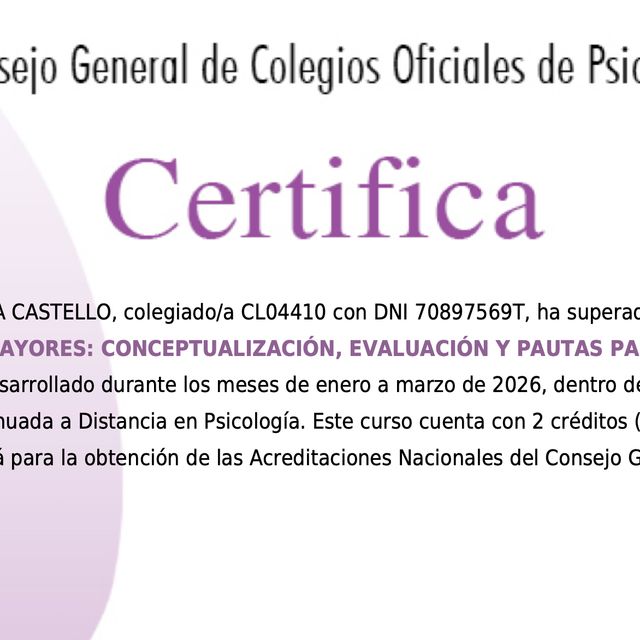 Acercar imagen: certificate 16