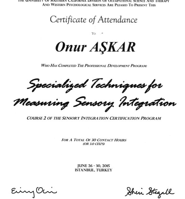 Resmi büyüt: certificate 2