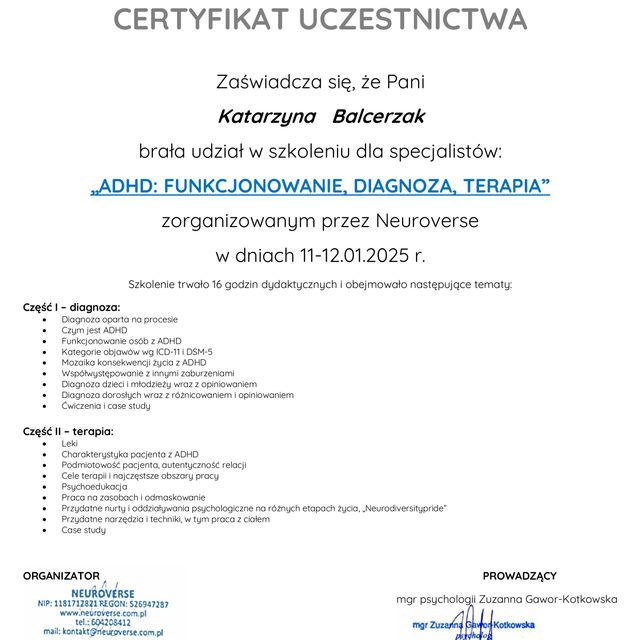 Powiększ obraz: certificate 1