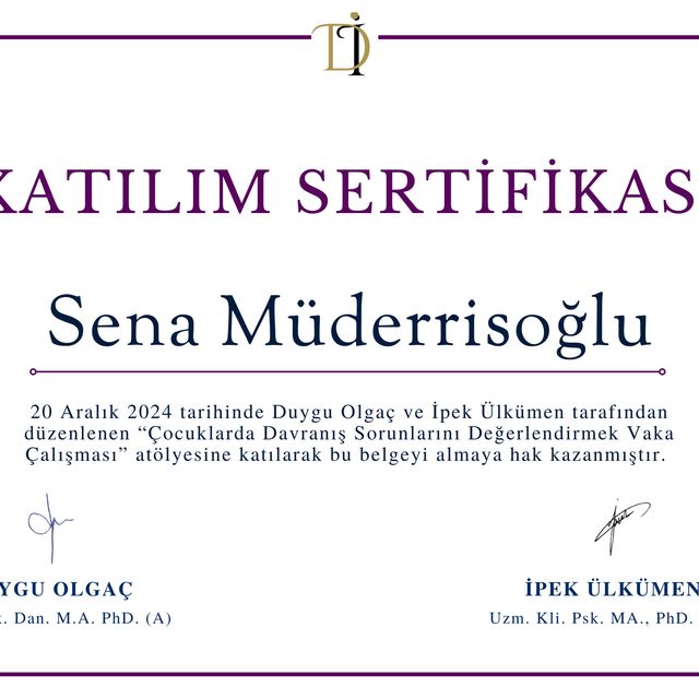 Resmi büyüt: certificate 1