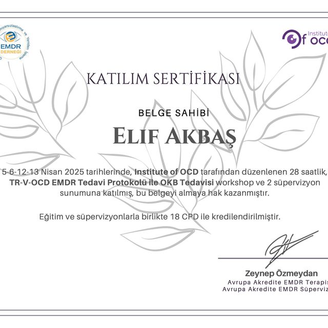 Resmi büyüt: certificate 9