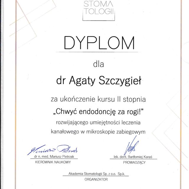 Powiększ obraz: certificate 10