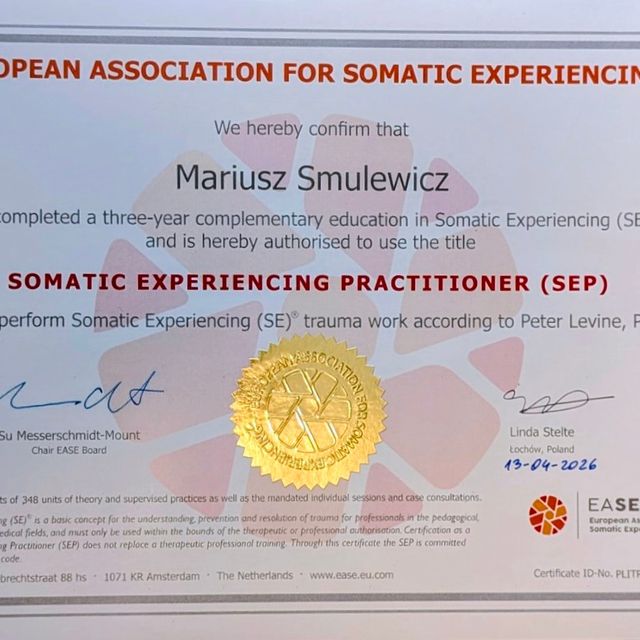 Powiększ obraz: certificate 3