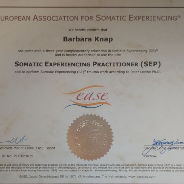 Powiększ obraz: certificate 2