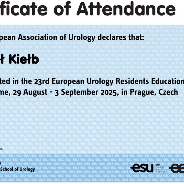 Powiększ obraz: certificate 2