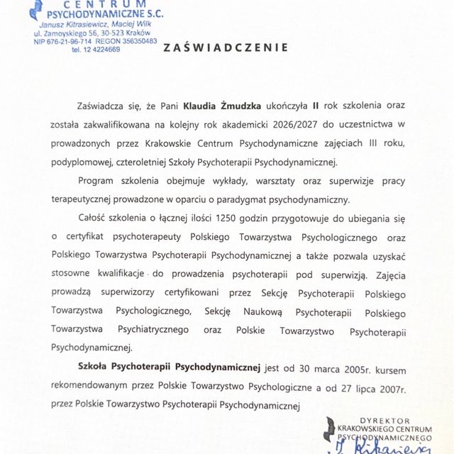 Powiększ obraz: certificate 1