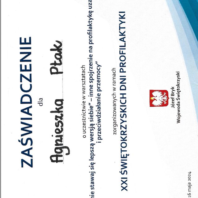 Powiększ obraz: certificate 1