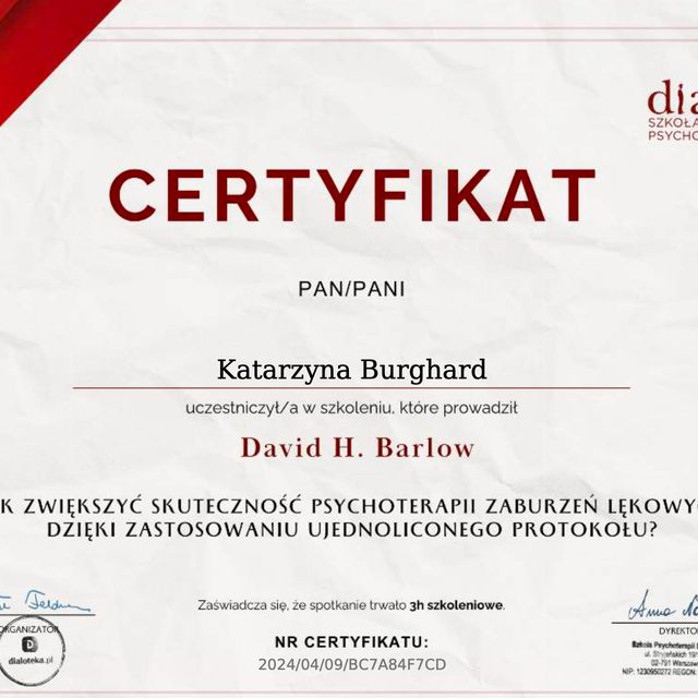 Powiększ obraz: certificate 1