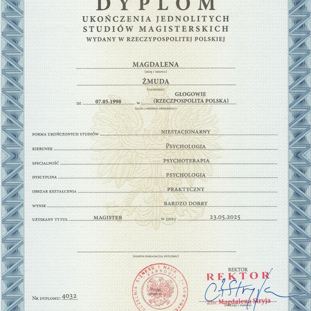 Powiększ obraz: certificate 2