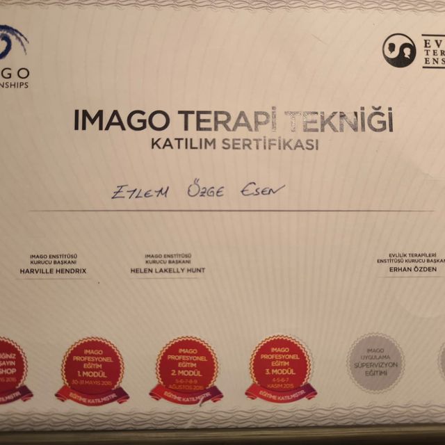 Resmi büyüt: certificate 12