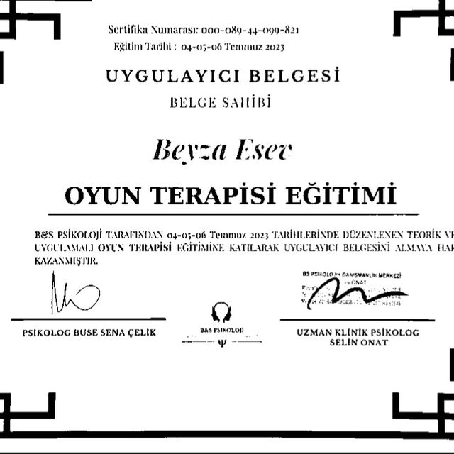 Resmi büyüt: certificate 11