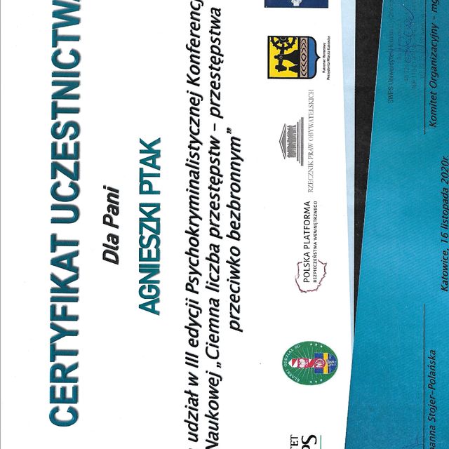 Powiększ obraz: certificate 4