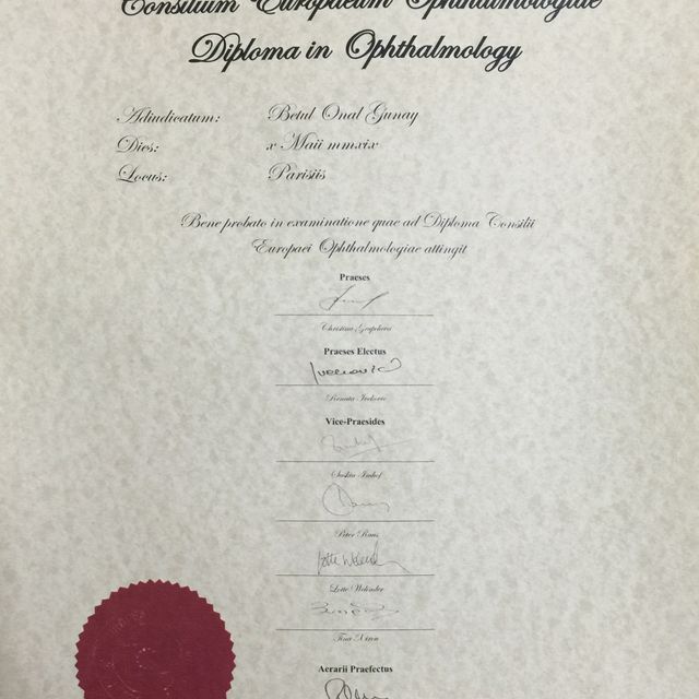 Resmi büyüt: certificate 1