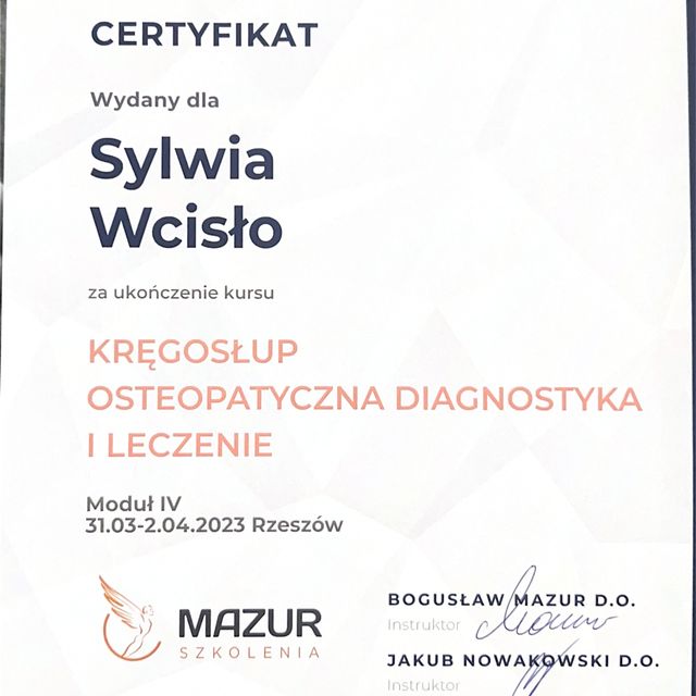 Powiększ obraz: certificate 4