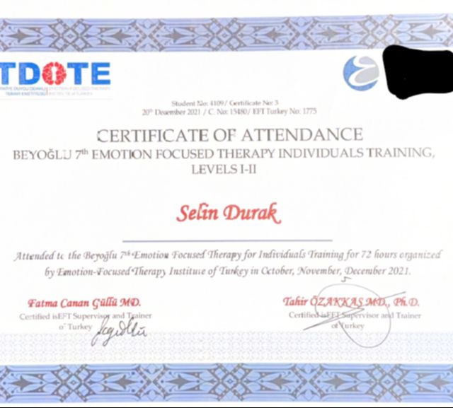 Resmi büyüt: certificate 3