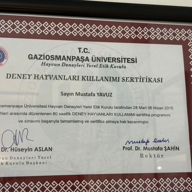 Resmi büyüt: certificate 5