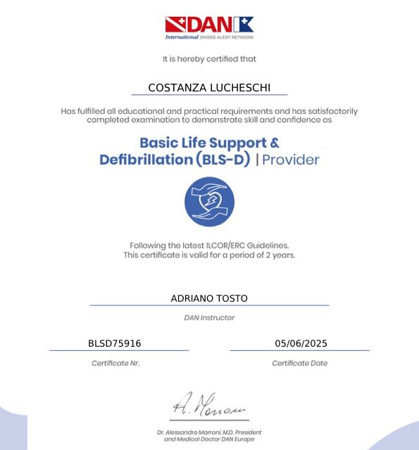 Ingrandire l'immagine: certificate 1