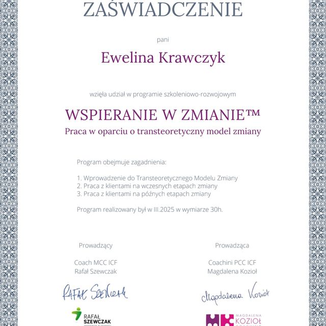 Powiększ obraz: certificate 1