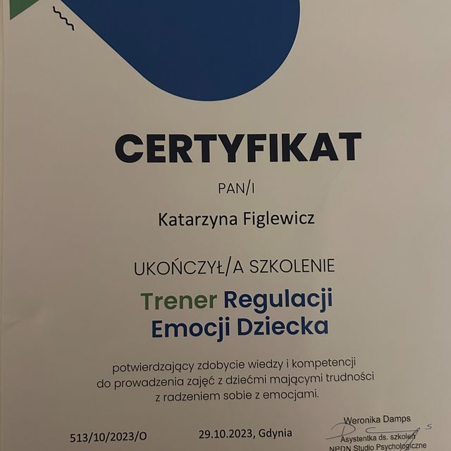 Powiększ obraz: certificate 3