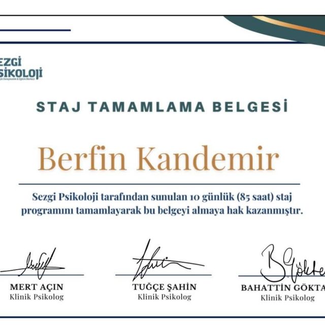 Resmi büyüt: certificate 11