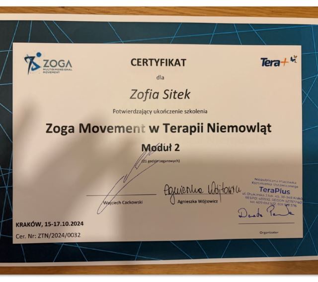 Powiększ obraz: certificate 6