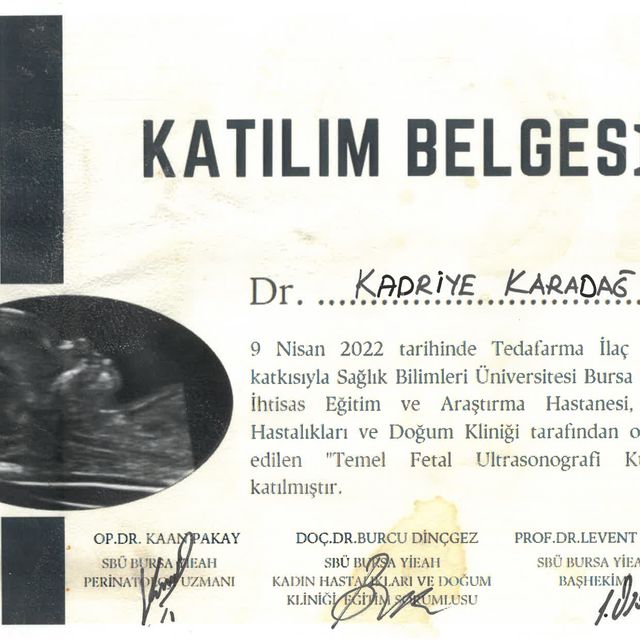 Resmi büyüt: certificate 19