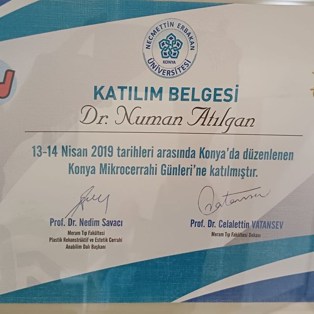 Resmi büyüt: certificate 2