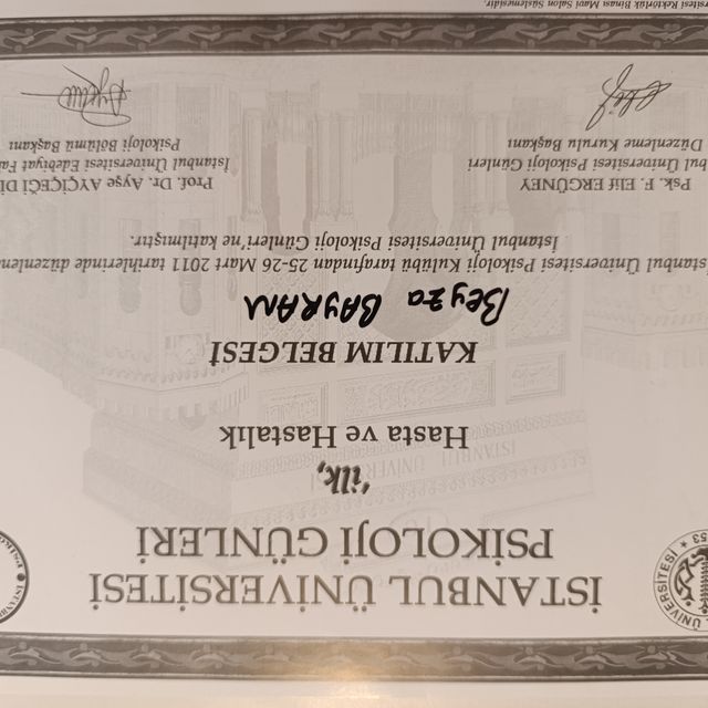 Resmi büyüt: certificate 2