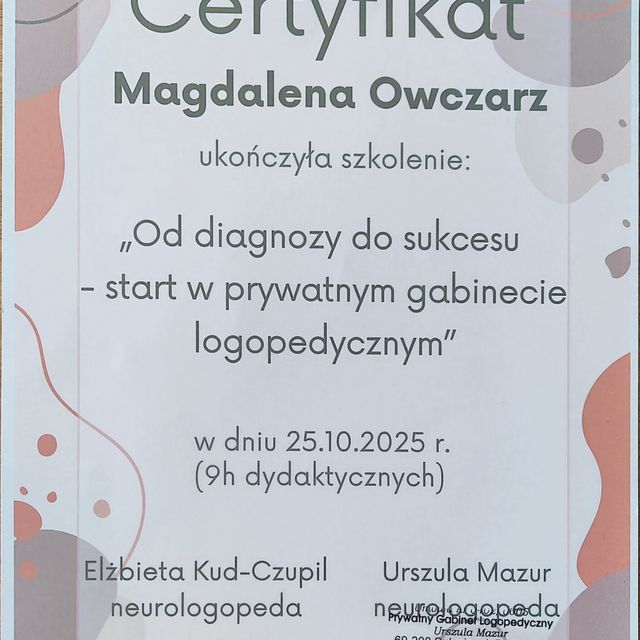 Powiększ obraz: certificate 1