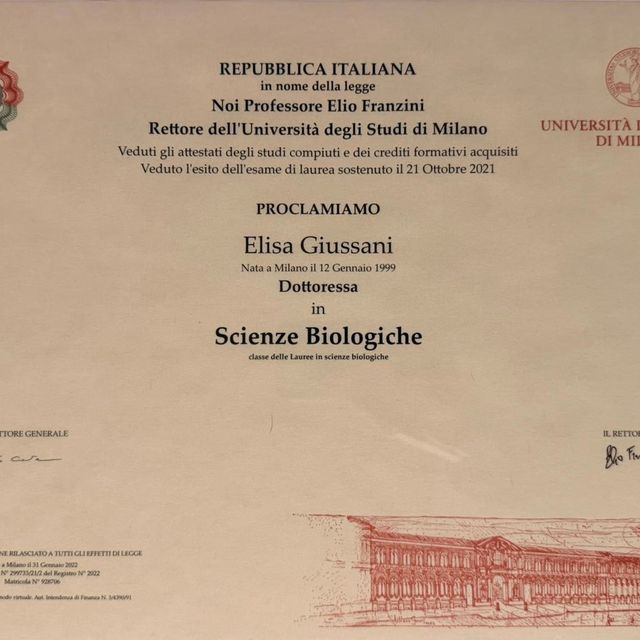 Ingrandire l'immagine: certificate 3