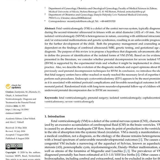 Powiększ obraz: certificate 88