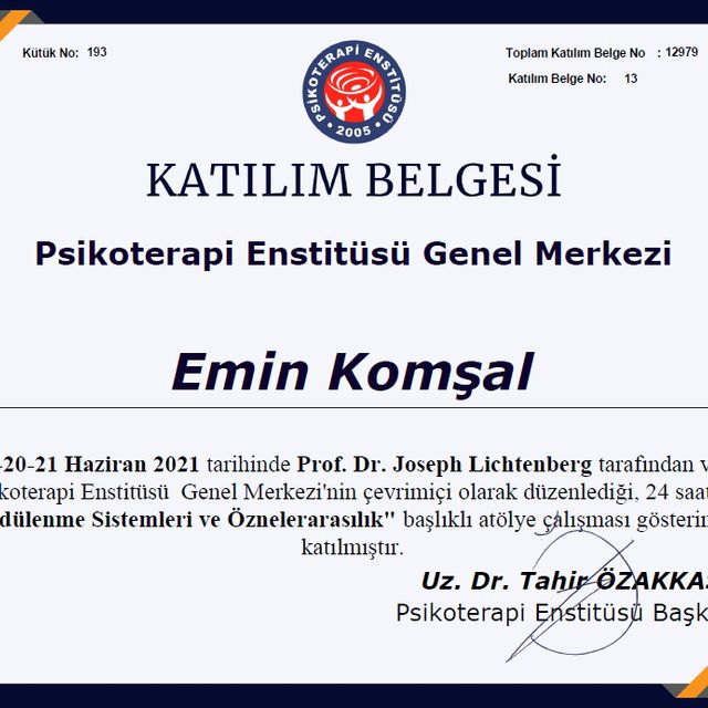 Resmi büyüt: certificate 3