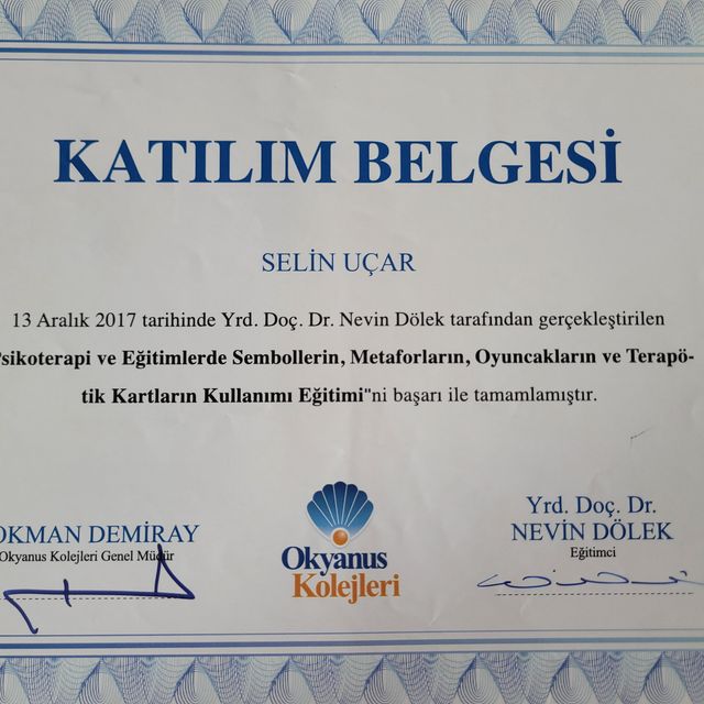 Resmi büyüt: certificate 8