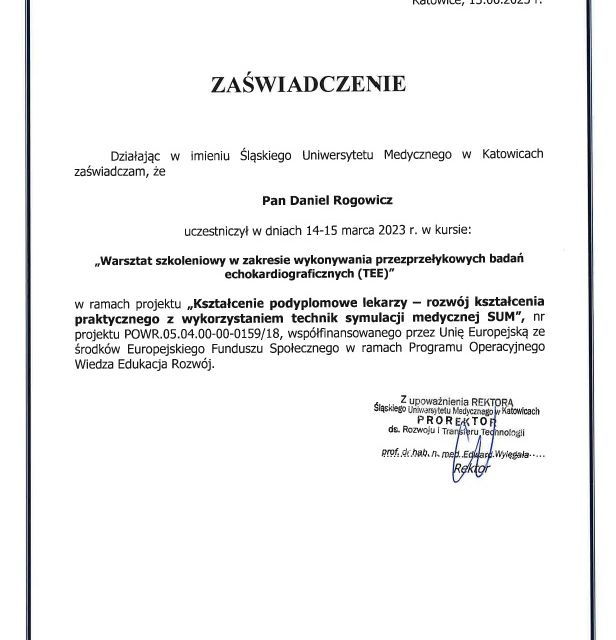 Powiększ obraz: certificate 7