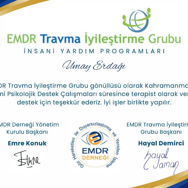 Resmi büyüt: certificate 6