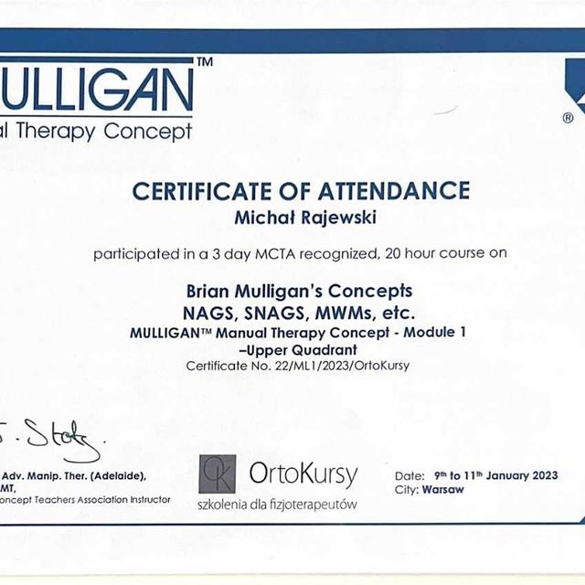 Powiększ obraz: certificate 8