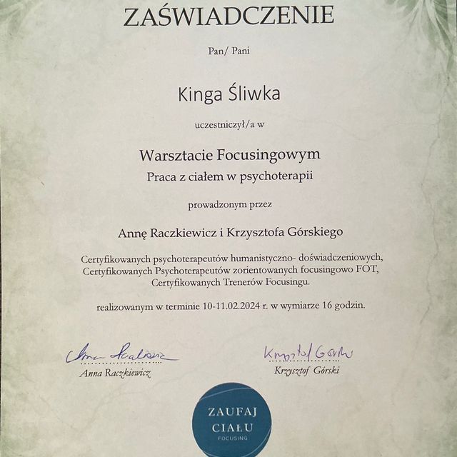 Powiększ obraz: certificate 1