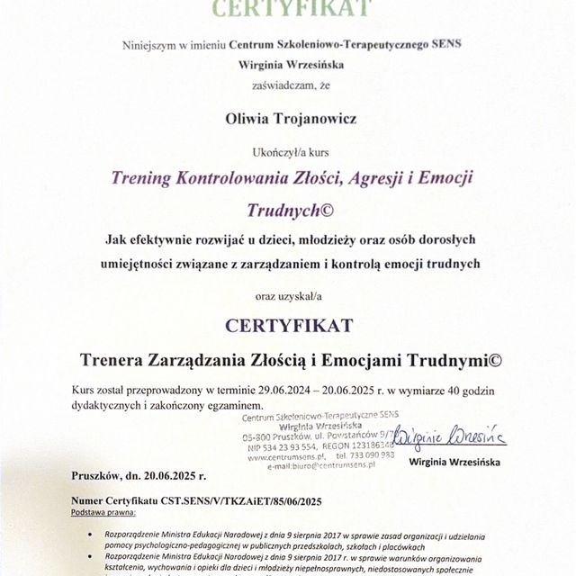 Powiększ obraz: certificate 3