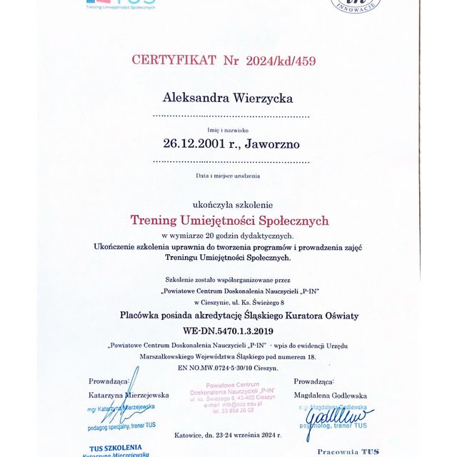 Powiększ obraz: certificate 1